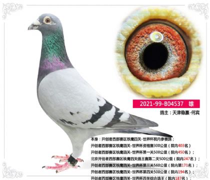 �����Ӯ-�����������������籭�Ĺ��ۺϸ���Ժ��187�� ��