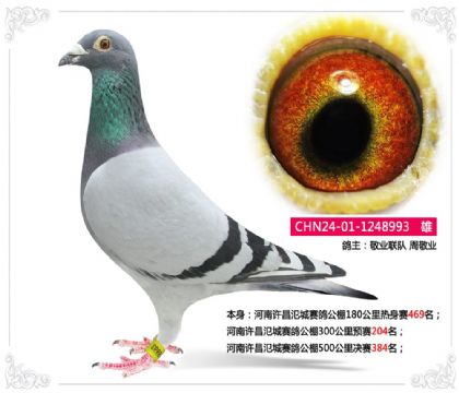 ��������������빫��500�������384��  ��	