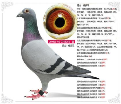 �����-������������������ֲ��Ĺ��ۺϸ���31��  ��	