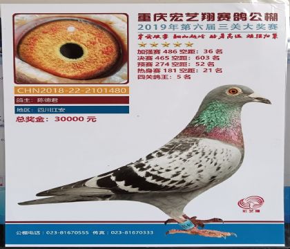 ������������빫���Ĺظ���5��   ��	