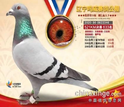 �����������빫��521�������633��   ��	