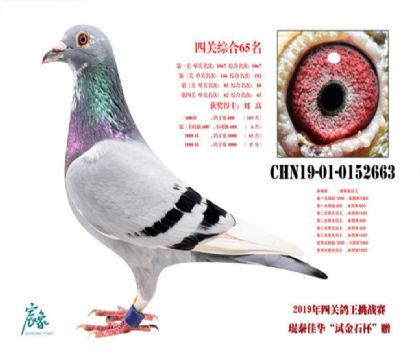 ������̩�ѻ�������ֲ�ǧԪ�رȻ��Ĺ��ۺϸ���65��