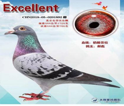 �±�--����Դ����������빫��500�������796��  ��	