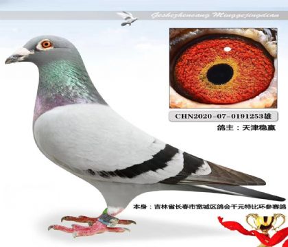 �����Ӯ--���ֿ���ǧԪ�رȻ�������253   ��	