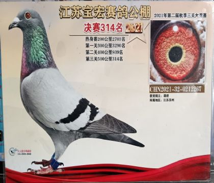 ���ձ������빫��500�������314��   ��	