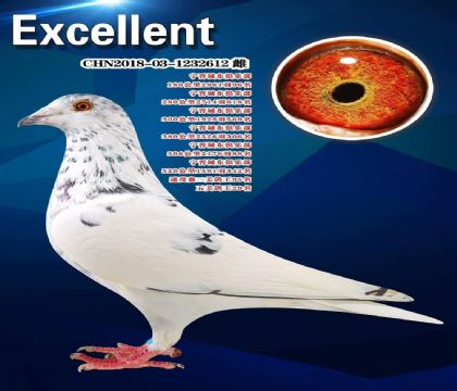 �ӱ������Ƕ�������ֲ���ظ���29��   ��	