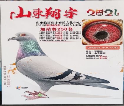 ɽ���������빫�ﴺ��590�����վ��250��   ��	