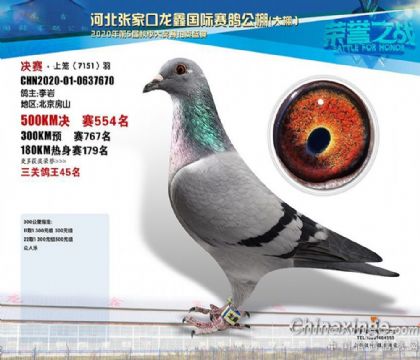 �żҿ��������빫�������ظ���45��   ��	