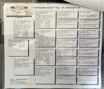 ԭ��Ѫͳ����뷢��