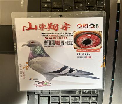 ����Ƭ��뷢��