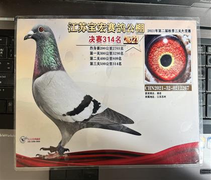 ����Ƭ��뷢��