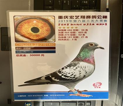 ����Ƭ��뷢��