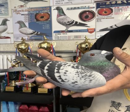 2.�����ָ�282