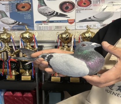 3. �����ָ�905