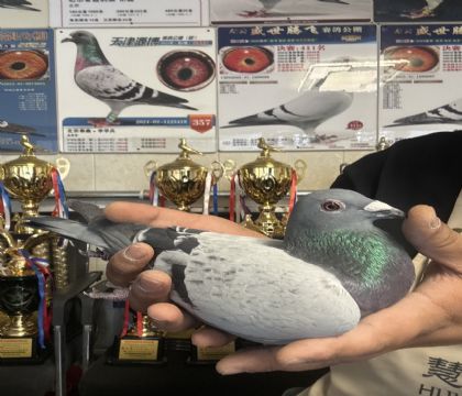 6.�����ָ�711