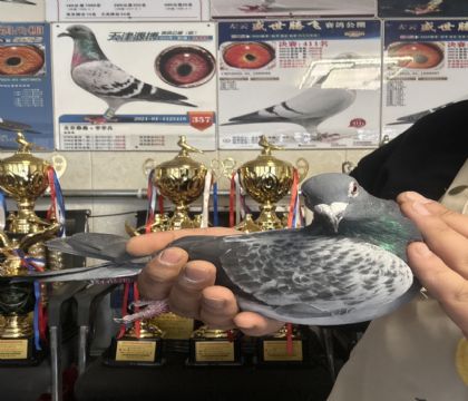 7.�����ָ�072