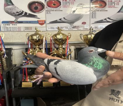 9.�����ָ�101