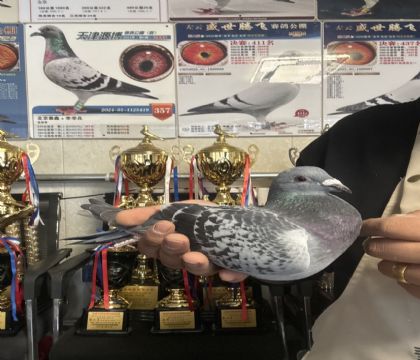 10.�����ָ�771