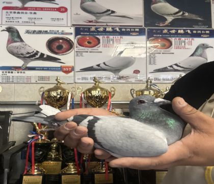 12.�����ָ�687