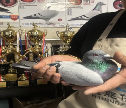 14.�����ָ�755