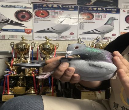 15.�Ĺظ���18��ȫƽ��