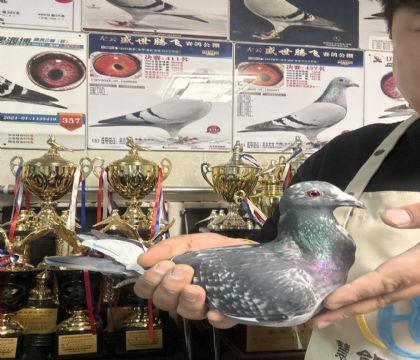 16.�����ָ�645