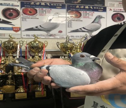 18.�����ָ�744