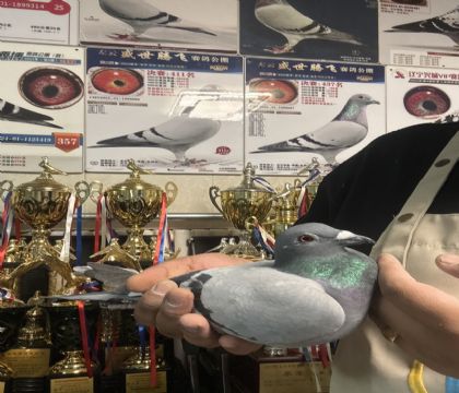 19.�����ָ�773