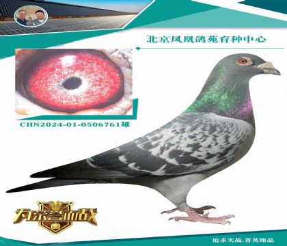 ����ƥ��003ֱ�� X��������X���۴ơ�������Ů