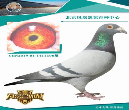 ����ƥ�����˹��ֱ��X���ݻԻ͹������10��