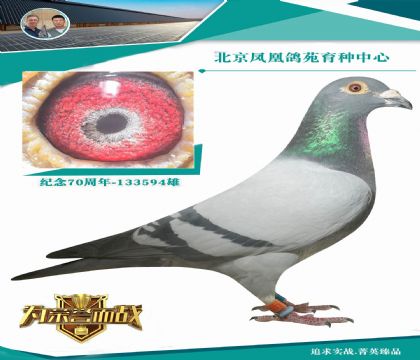 �������߹�� ��Ů��Ѫ �����߶��ָ�