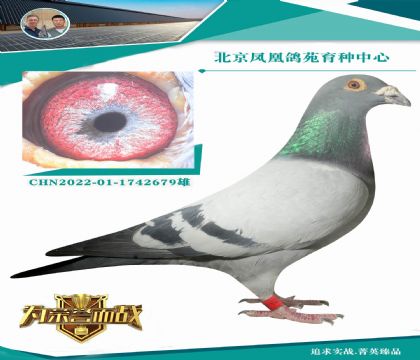 ������ƥ�˻��ض�006��ֱ��X���ض�ȫ����