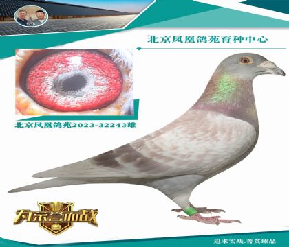 ��Ů��Ѫ���������̡�- ���պ�