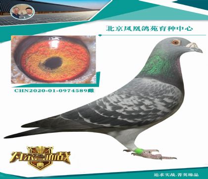 ������ս��998ֱϵX������������š���Ů