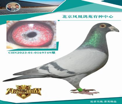 ��ղ��˹802������ֱ��Xղ��˹802ֱ��Ů