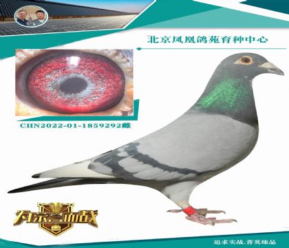 û����֮ǰ ������ ǧ������ �����ֲ���