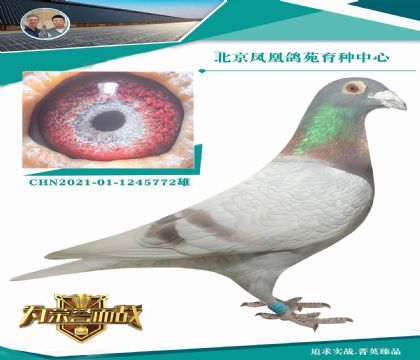 ����ȫ������õ����� �����ص��ָ�