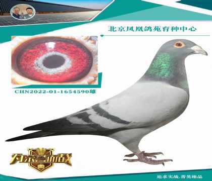 ��������X���۴ơ�ֱ��X�¡����������۴ơ���Ů