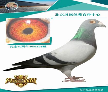 ����ƥ�����˹��ֱ��X���ݻԻ͹������10��