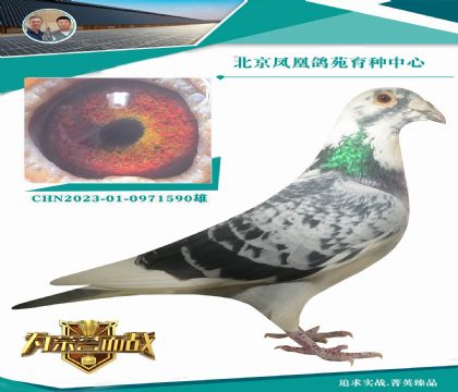 ����300KM��500KM��700KM��1000KM�ھ�����