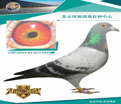 ����ͼ�ޡ���������ֱ��X����������50��ֱŮ