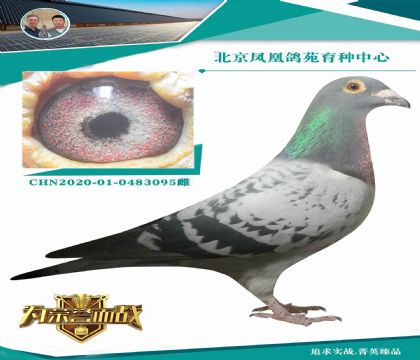 ��������X���۴ơ�ֱ��X���ض�ȫ����