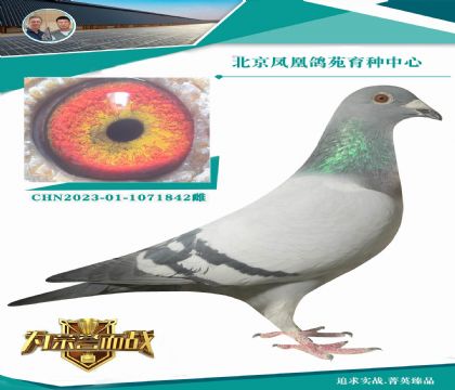 ������ƥ��쫷�ֱ���X����������73������ı�Ӯ��