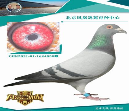 �����ض�848�����ض�ֱ�ӣ���X���ǲ���9992��4000