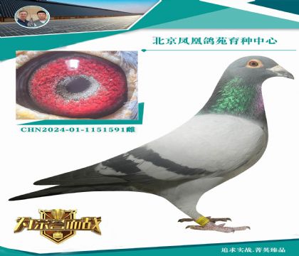 ��ղ��˹802������ֱ��Xղ��˹802ֱ��Ů