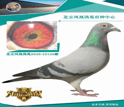 ������6�ιھ�X�����������24��  �ر��Ƽ�