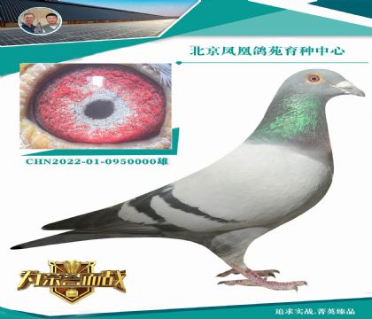 13��Ǳ�˿˿����X11��ǱȽ�С��000008ֱŮ