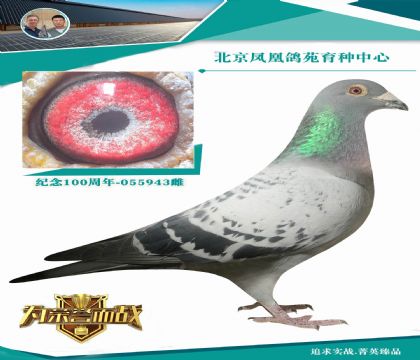 ����ƥ��003ֱ�� X��������X���۴ơ�������Ů