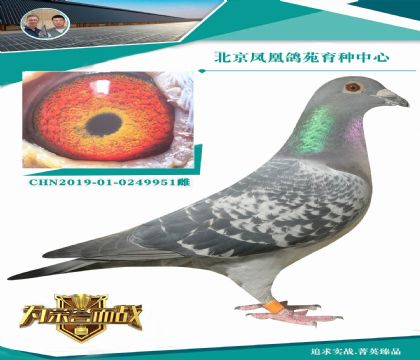 ����������ά�������߹�����X�����߹�����ֱŮ