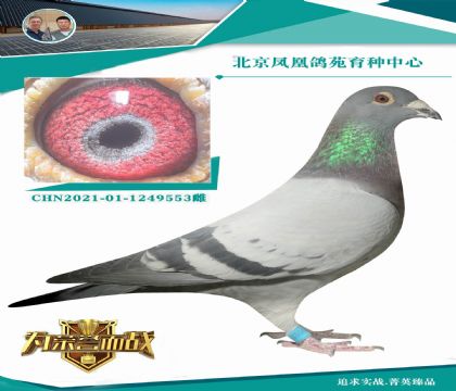 �������߹�� ��Ů��Ѫ �����߶��ָ�